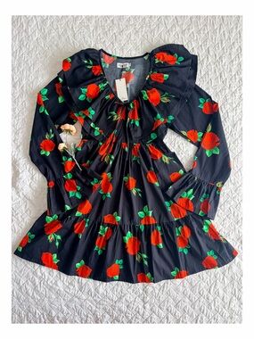 NWT Anthropologie x The Lulo Project Max Roses Mini Dress Size L Ruffles